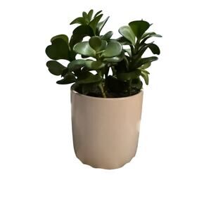 Project 62 Potted Faux Plant